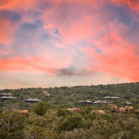 Kwandwe Private Game Reserve - Ecca Lodge Grahamstown Dış mekan fotoğraf