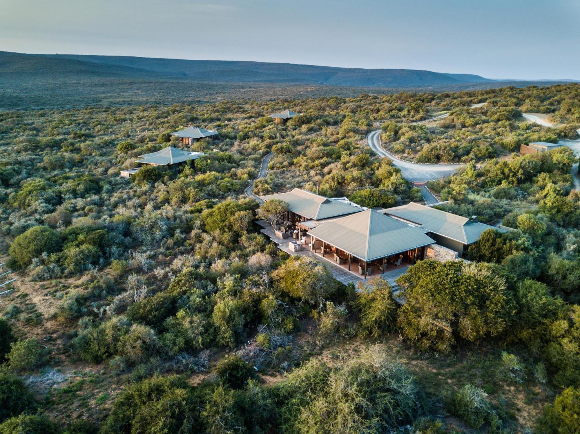 Kwandwe Private Game Reserve - Ecca Lodge Grahamstown Dış mekan fotoğraf
